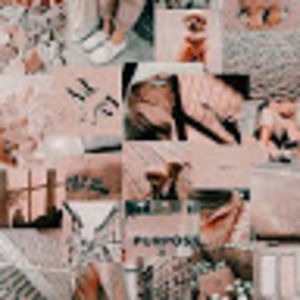 Meet your Posher, Deana